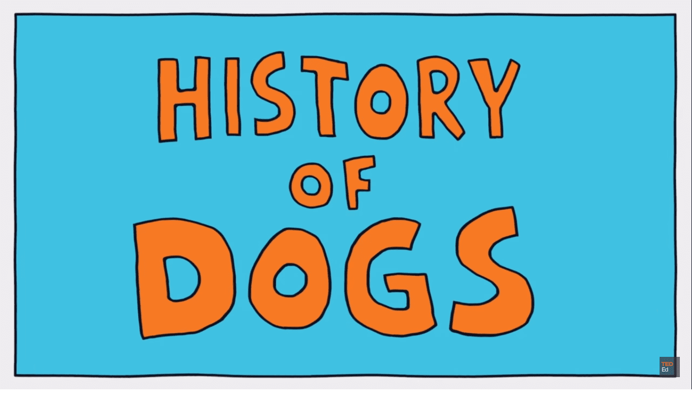 A brief *animated* history of dogs